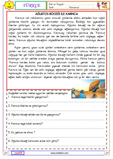 2. Sınıf Türkçe Okuma ve Anlama Metni Etkinliği (Ağustos Böceği ile Karınca)